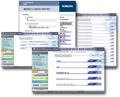 Renter Background And Credit Report